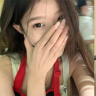 公牛