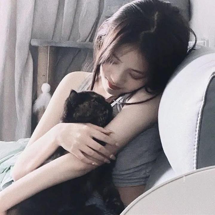乱世伤痕：末代总督的秘密